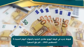 هبوط جديد في قيمة اليورو مقابل الجنيه بالبنوك اليوم السبت 9 أغسطس 2025… كم بلغ السعر؟